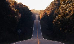winding road woods trees path journey direction outdoors nature route